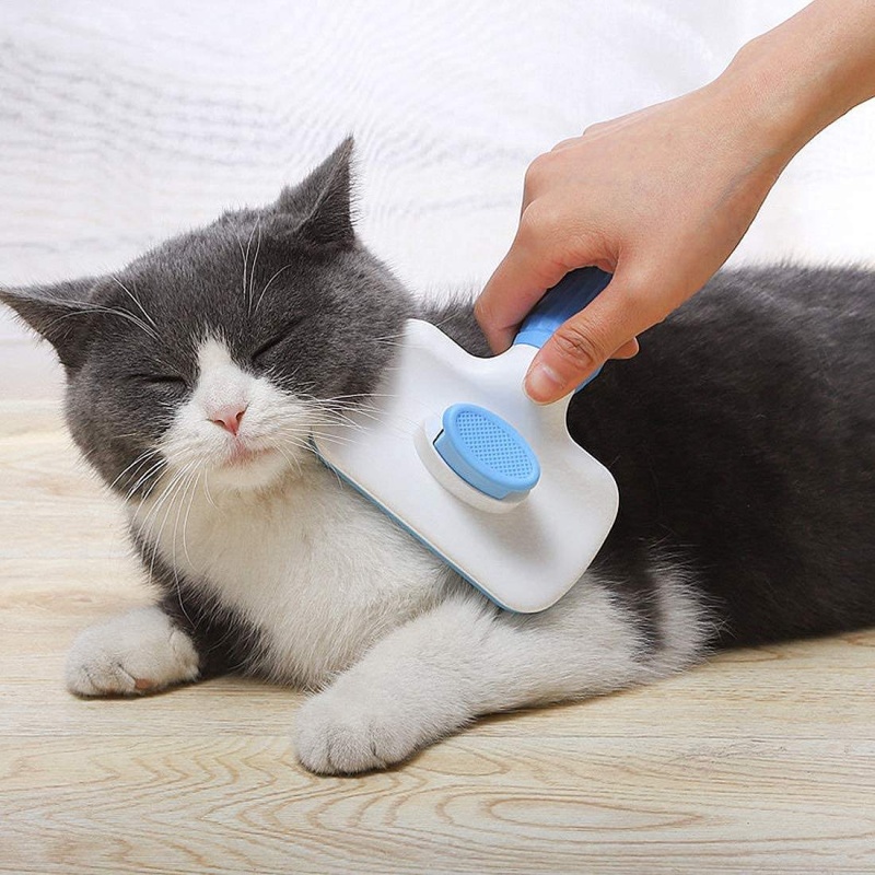 셀프 클리닝 슬리커 브러시 애완동물 털 제거 빗 효율적 - Hair Care Is Self Care 리뷰 및 가격